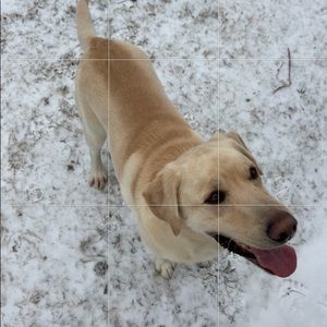 Meet your Posher, Sally